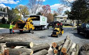 Best Tree Mulching  in Jamesport, NY