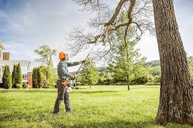 Best Commercial Tree Services  in Jamesport, NY